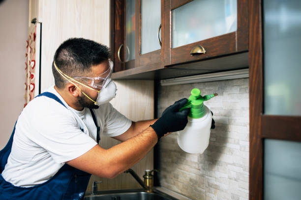 Best Pest Inspection Near Me  in Stonecrest, GA