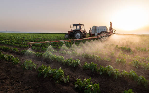 Best Commercial Pest Control Services  in Stonecrest, GA