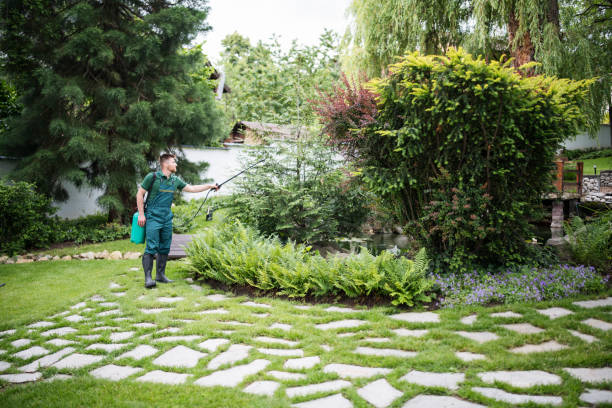 Pest Prevention Services in Stonecrest, GA