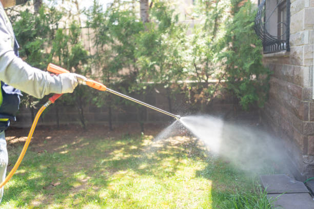 Best Pest Prevention Services  in Stonecrest, GA