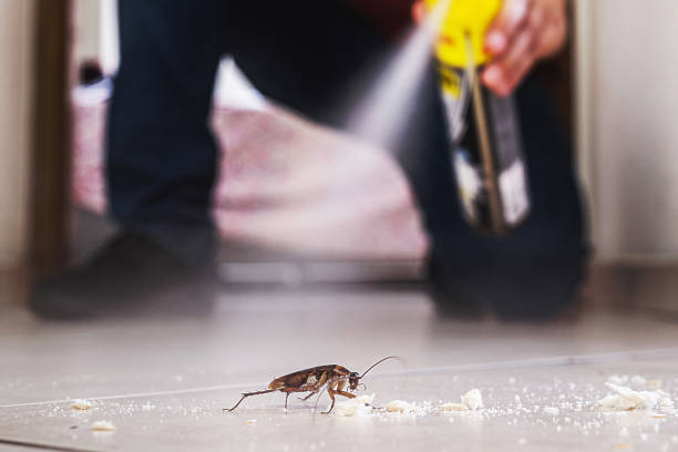 Trusted Stonecrest, GA Pest Control Experts
